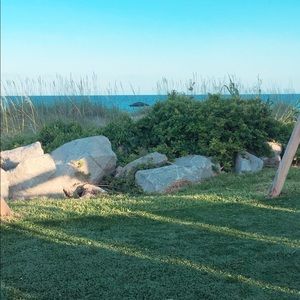 Meet your Posher, Gavin